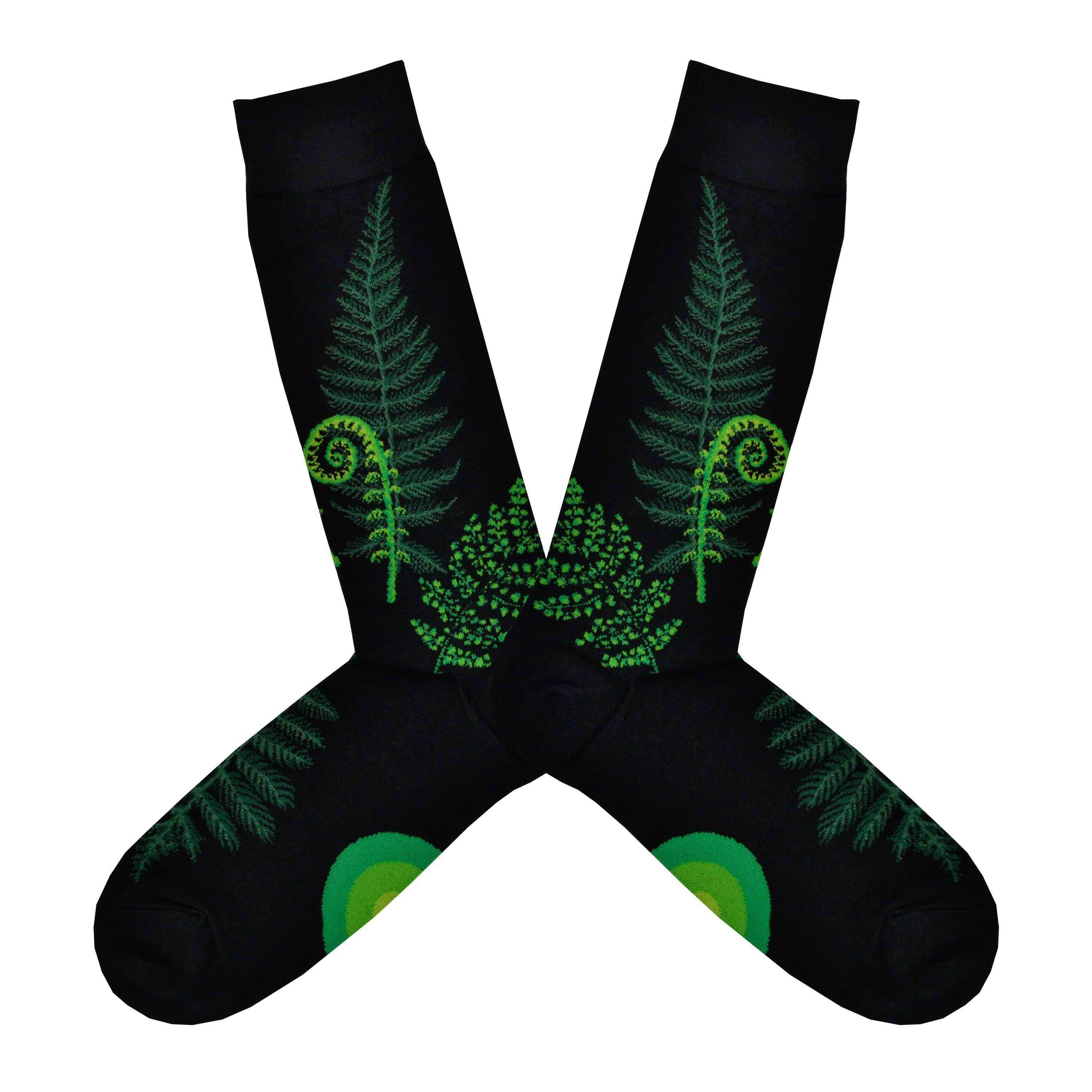 Men's Ferns & Fiddlehead Socks